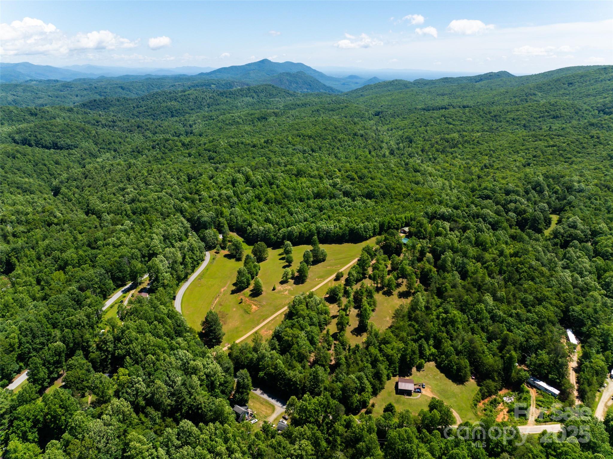 129 Melrose Lake Road Saluda, NC 28773 - Photo 48 of 48 a view of a lush green forest with lots of trees