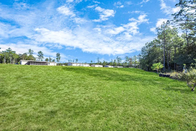 a backyard of a house with lots of green space