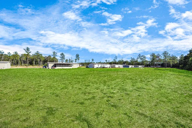 a view of yard with house and green space