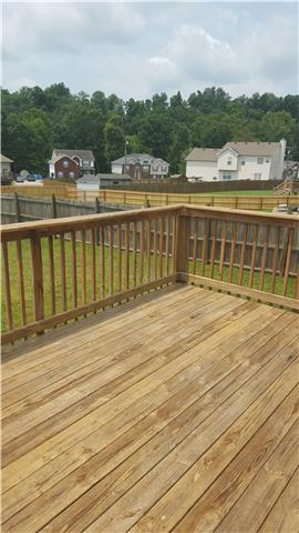 3383 Shivas Road Clarksville, TN 37042 - Photo 13 of 13 Gallery Image 13