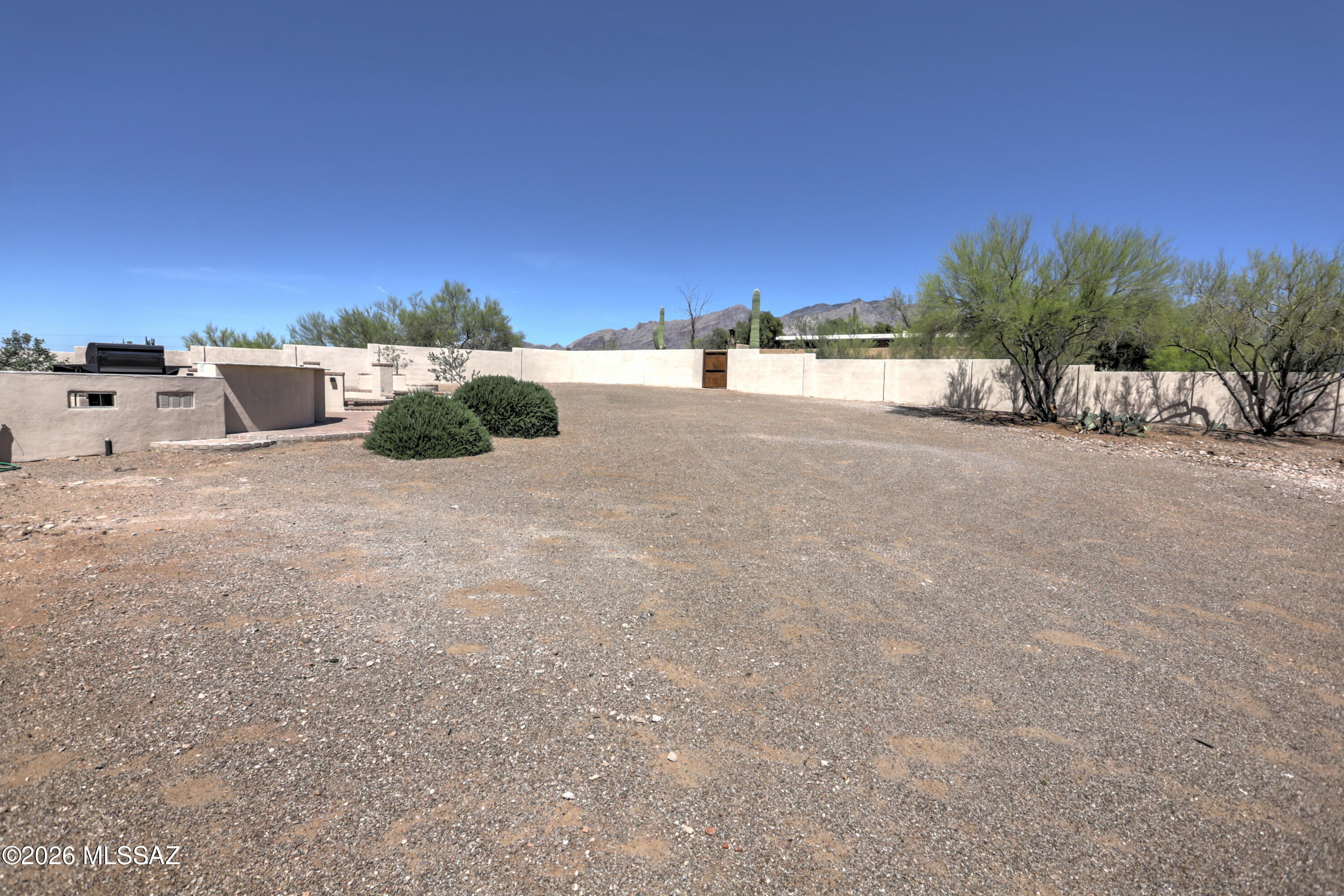 4939 East River Road Tucson, AZ 85718 - Photo 29 of 29 a view of a dry yard with large trees
