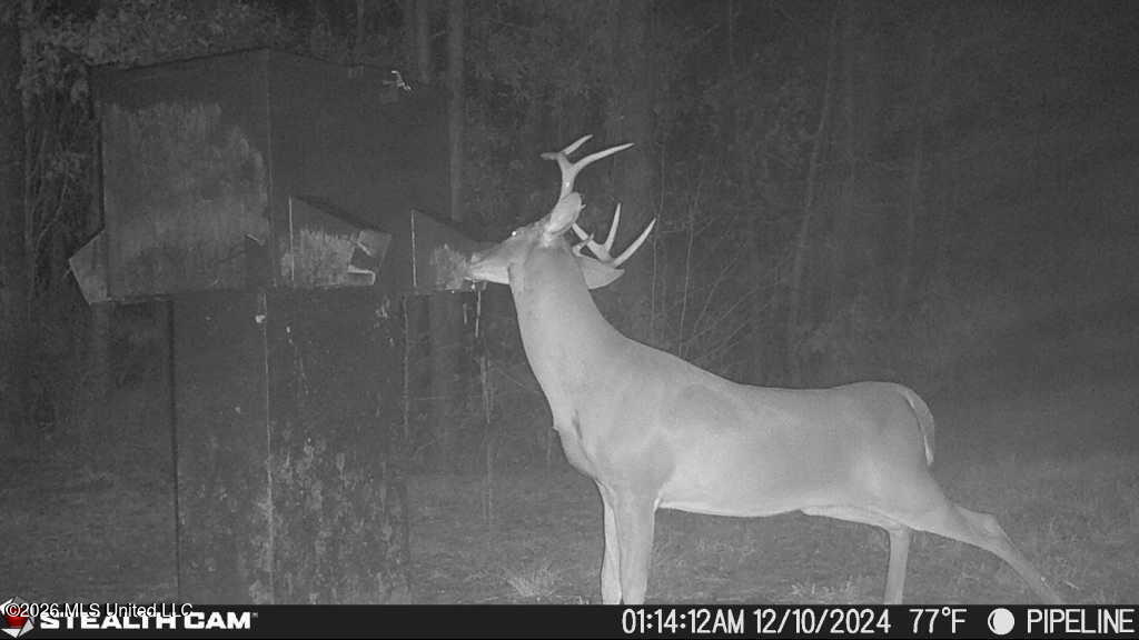189 Co Road Bay Springs, MS 39422 - Photo 57 of 61 IMG_3136
