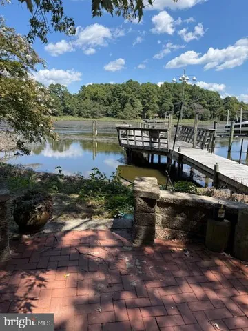 a view of a garden with a tree