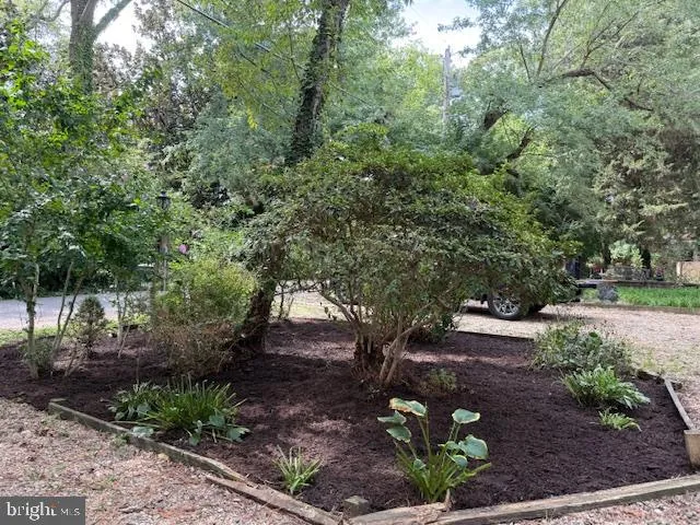 a view of a garden with plants