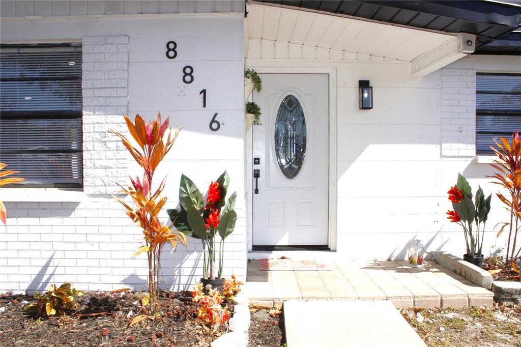 8816 Ashman Road Riverview, FL 33578 - Photo 3 of 52