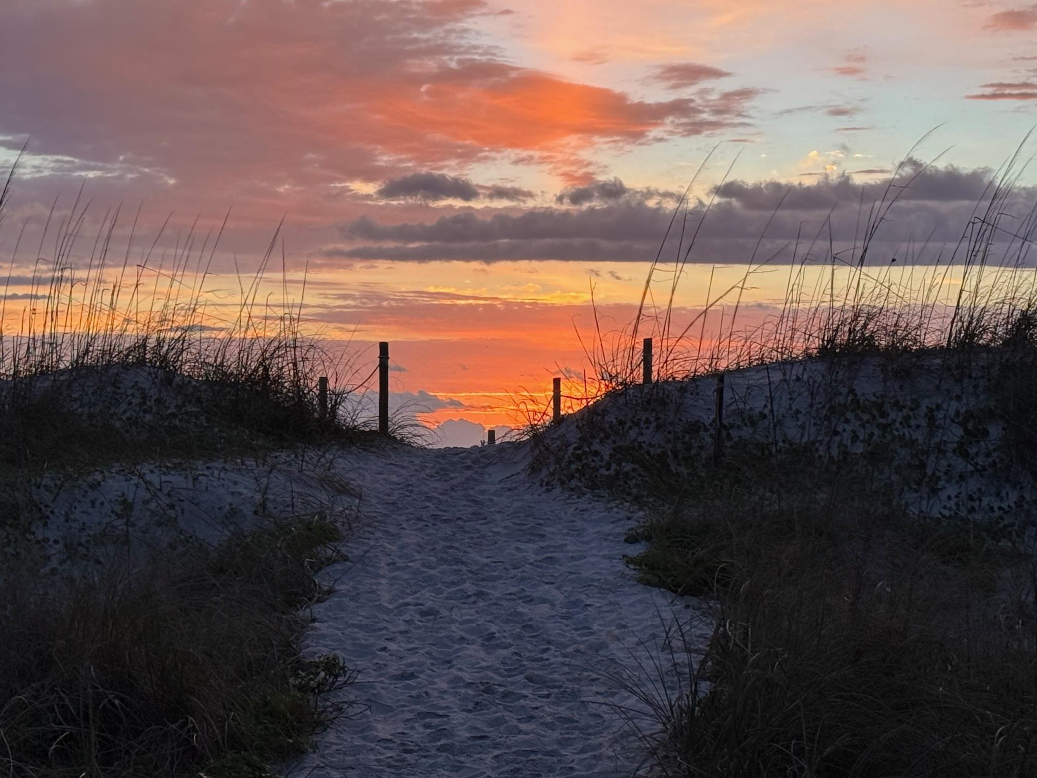 15 Carousel Terrace Alligator Point, FL 32346 - Photo 7 of 20