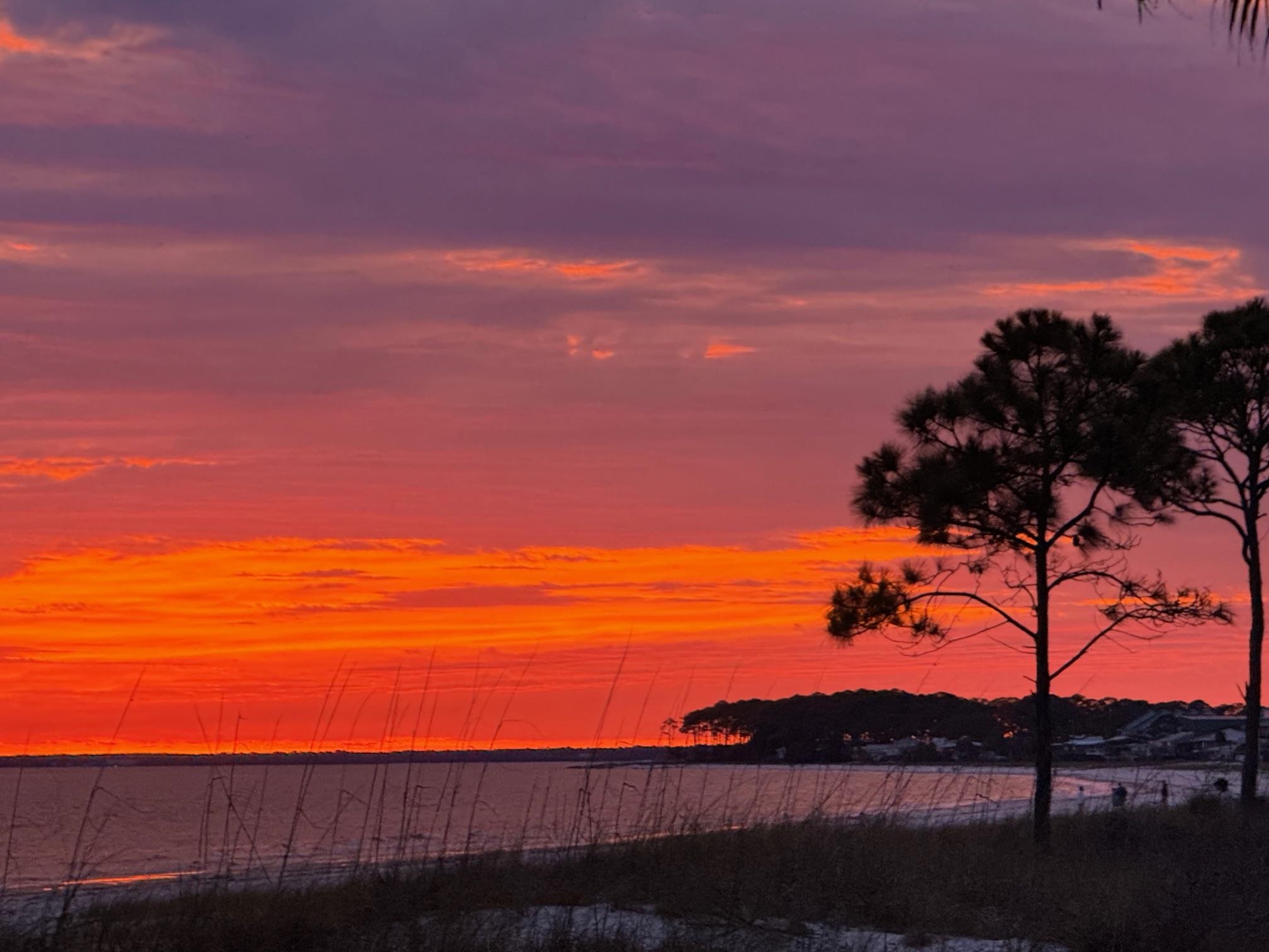 15 Carousel Terrace Alligator Point, FL 32346 - Photo 8 of 20