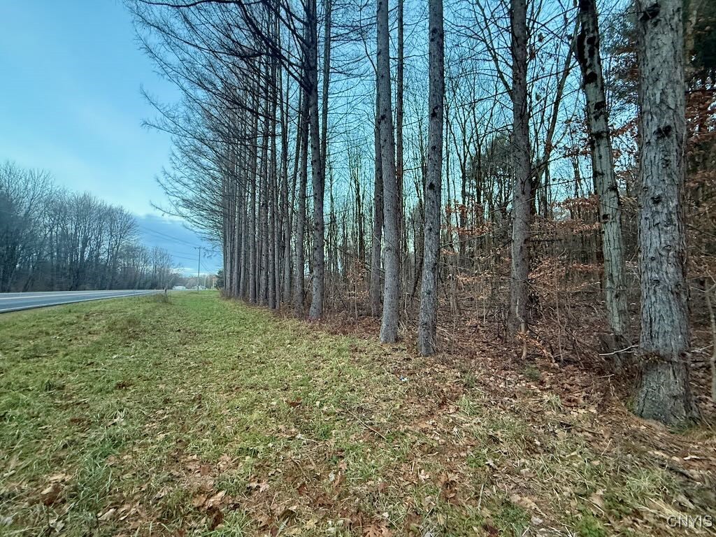 657 County Rte 48 Altmar, NY 13302 - Photo 11 of 44