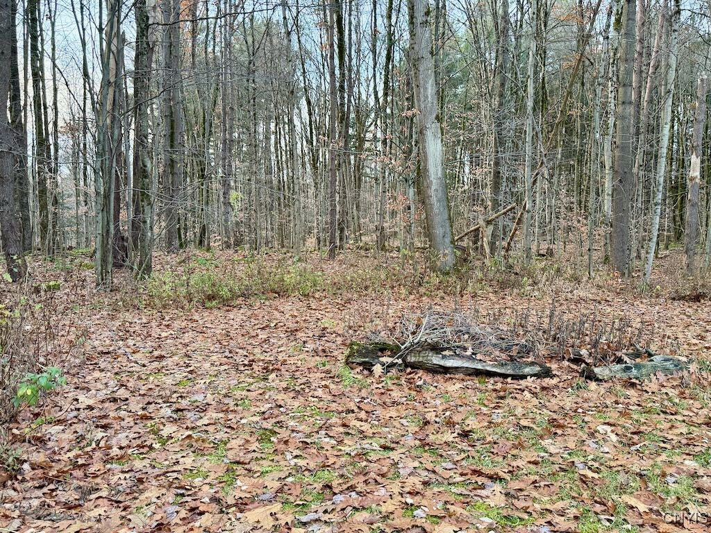 657 County Rte 48 Altmar, NY 13302 - Photo 4 of 44