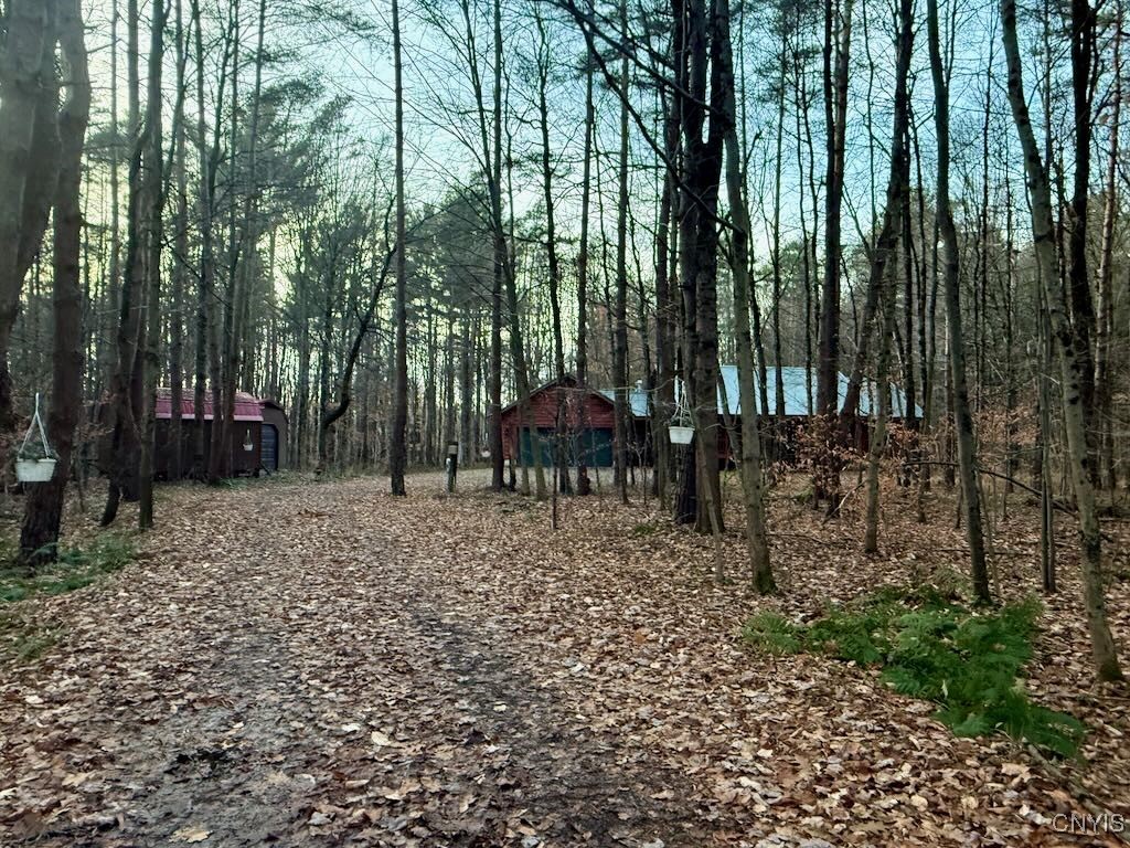657 County Rte 48 Altmar, NY 13302 - Photo 8 of 46