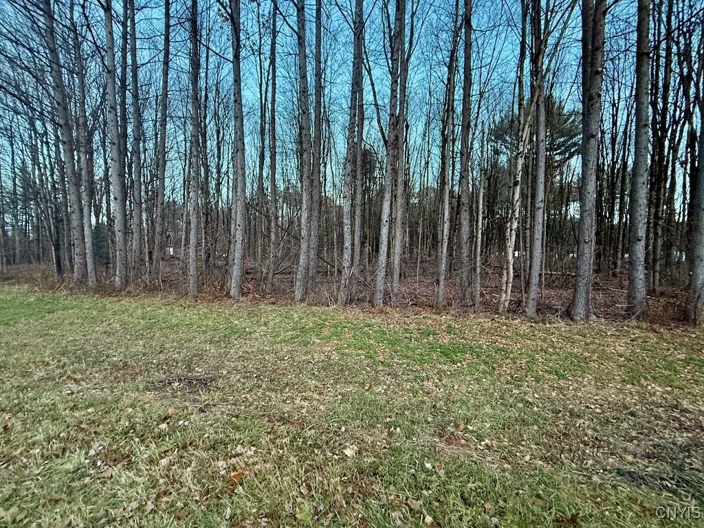 657 County Rte 48 Altmar, NY 13302 - Photo 9 of 44
