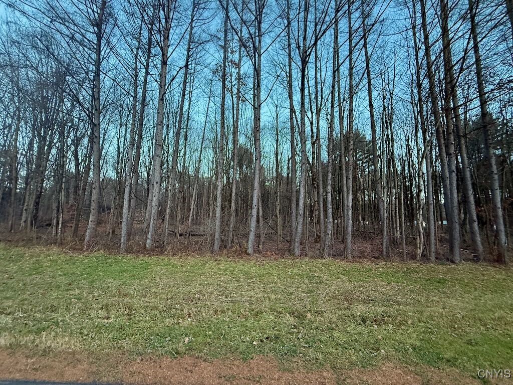 657 County Rte 48 Altmar, NY 13302 - Photo 10 of 44