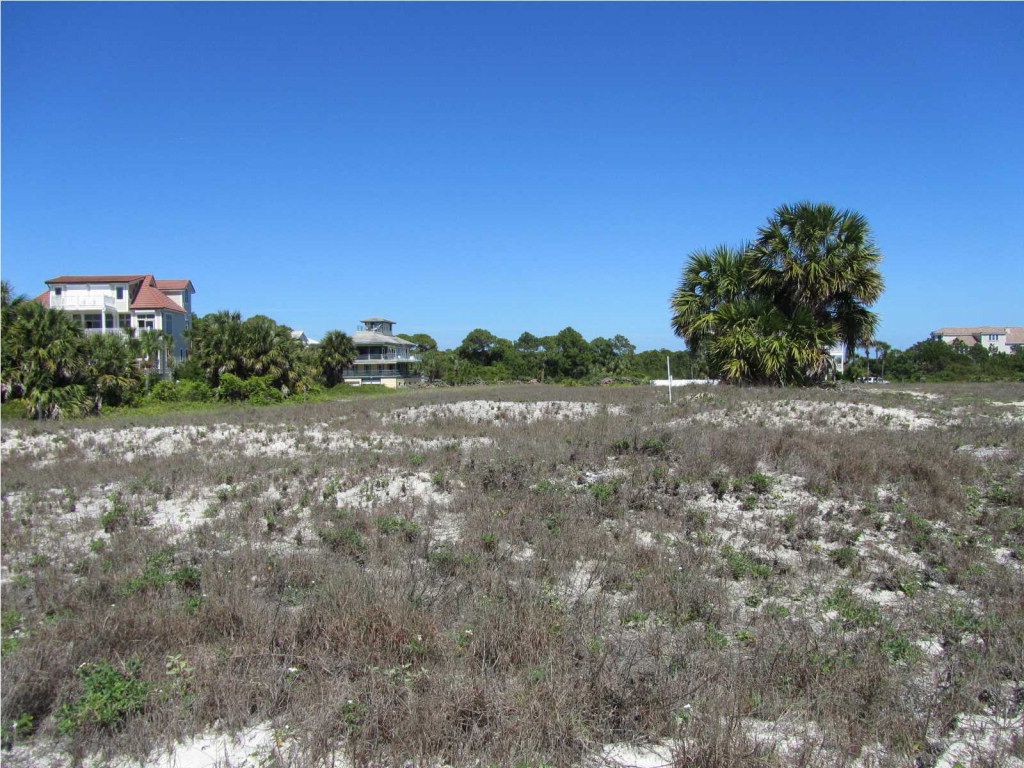 2319 Tally Ho Rd Street Eastpoint, FL 32328 - Photo 10 of 24