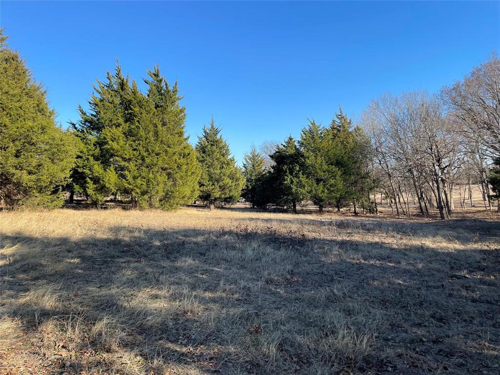 9701 Dalrock Road Rowlett, TX 75089 - Photo 6 of 8