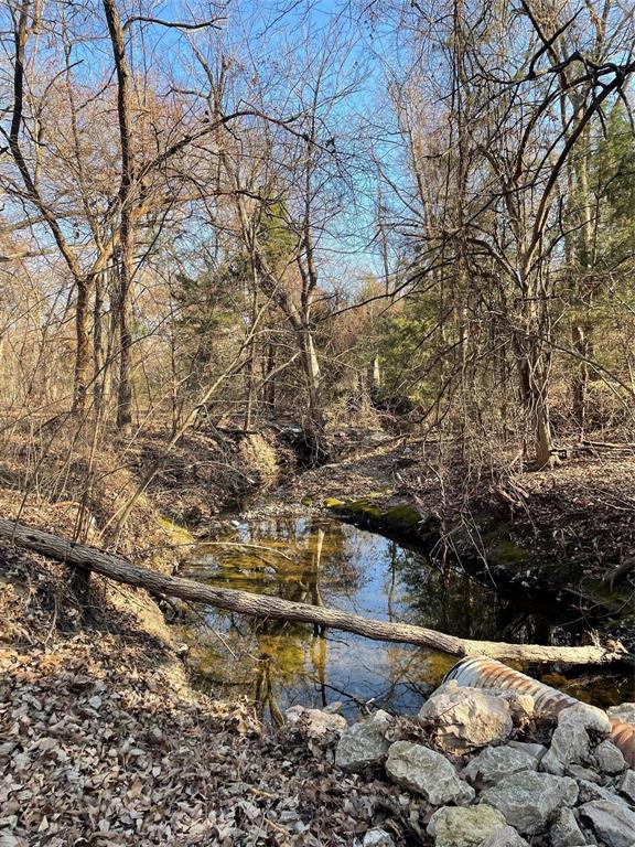 9701 Dalrock Road Rowlett, TX 75089 - Photo 8 of 8