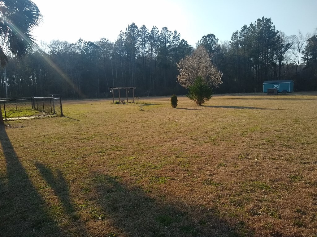 3052 Reevesville Road Bowman, SC 29018 - Photo 22 of 31 Right Side Yard View