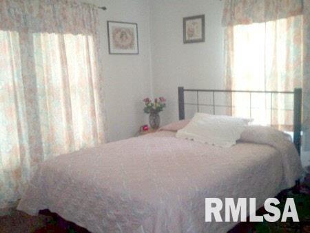 5162 Highway 37 Villa Ridge, IL 62996 - Photo 3 of 11