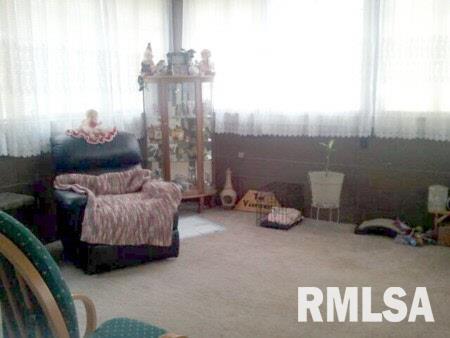 5162 Highway 37 Villa Ridge, IL 62996 - Photo 9 of 11