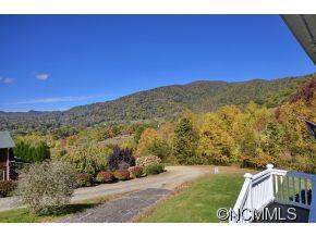 461 Raccoon Point Canton, NC 28716 - Photo 2 of 14