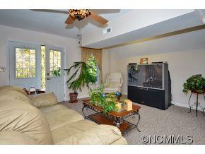 461 Raccoon Point Canton, NC 28716 - Photo 11 of 14