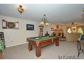 461 Raccoon Point Canton, NC 28716 - Photo 9 of 14
