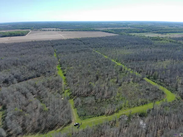 $1,271,325 | 0 Ellis Lane, Winnsboro, LA 71295