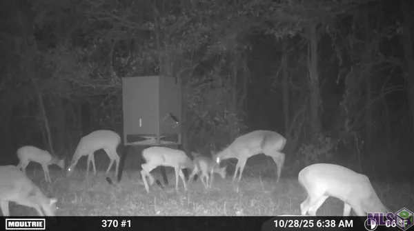 $1,271,325 | 0 Ellis Lane, Winnsboro, LA 71295