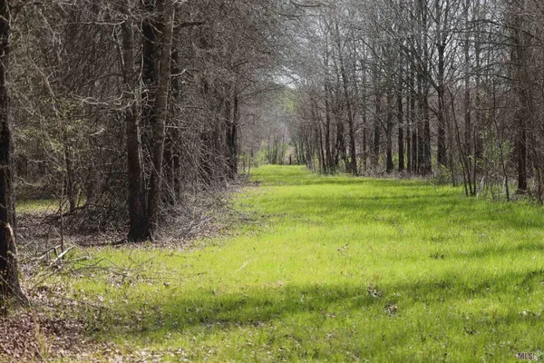 $1,271,325 | 0 Ellis Lane, Winnsboro, LA 71295