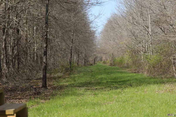 $1,271,325 | 0 Ellis Lane, Winnsboro, LA 71295