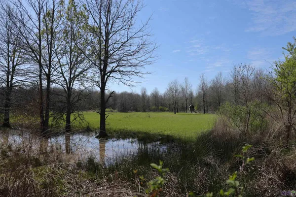 $1,271,325 | 0 Ellis Lane, Winnsboro, LA 71295