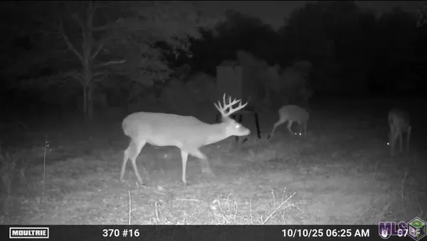 $1,271,325 | 0 Ellis Lane, Winnsboro, LA 71295