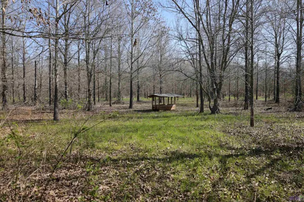 $1,271,325 | 0 Ellis Lane, Winnsboro, LA 71295