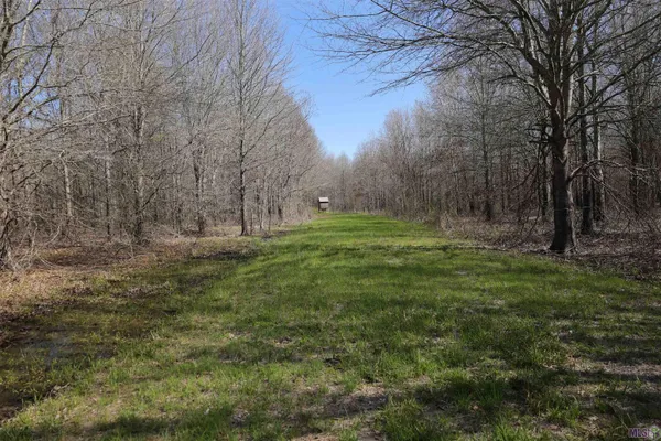 $1,271,325 | 0 Ellis Lane, Winnsboro, LA 71295
