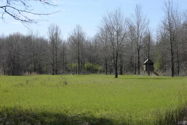 $1,271,325 | 0 Ellis Lane, Winnsboro, LA 71295