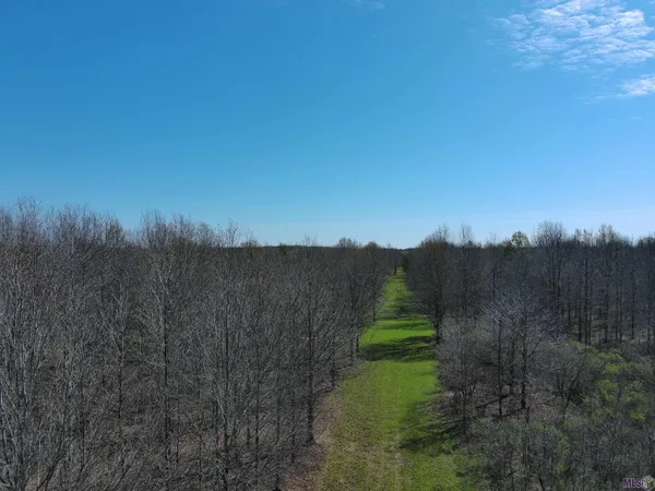 $1,271,325 | 0 Ellis Lane, Winnsboro, LA 71295