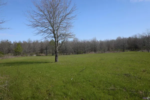$1,271,325 | 0 Ellis Lane, Winnsboro, LA 71295