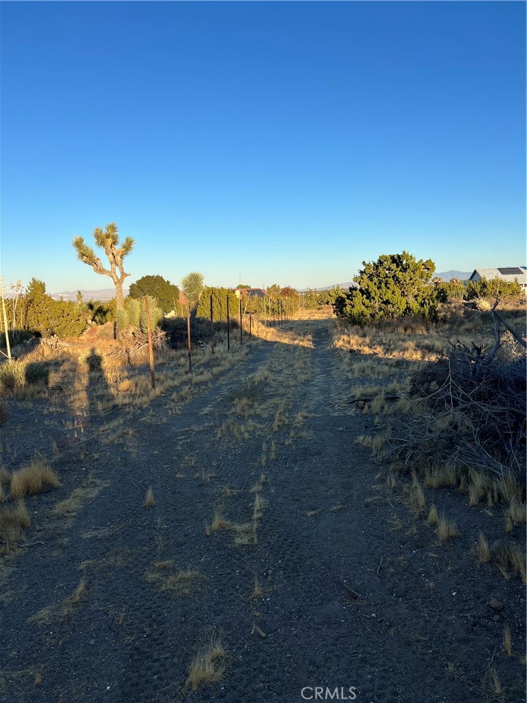 0 Elsinore Road Phelan, CA 92371 - Photo 2 of 7 a view of a dry yard with wooden fence