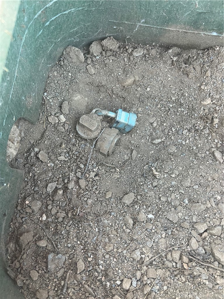 0 Elsinore Road Phelan, CA 92371 - Photo 3 of 7 a close up of a plant in a yard