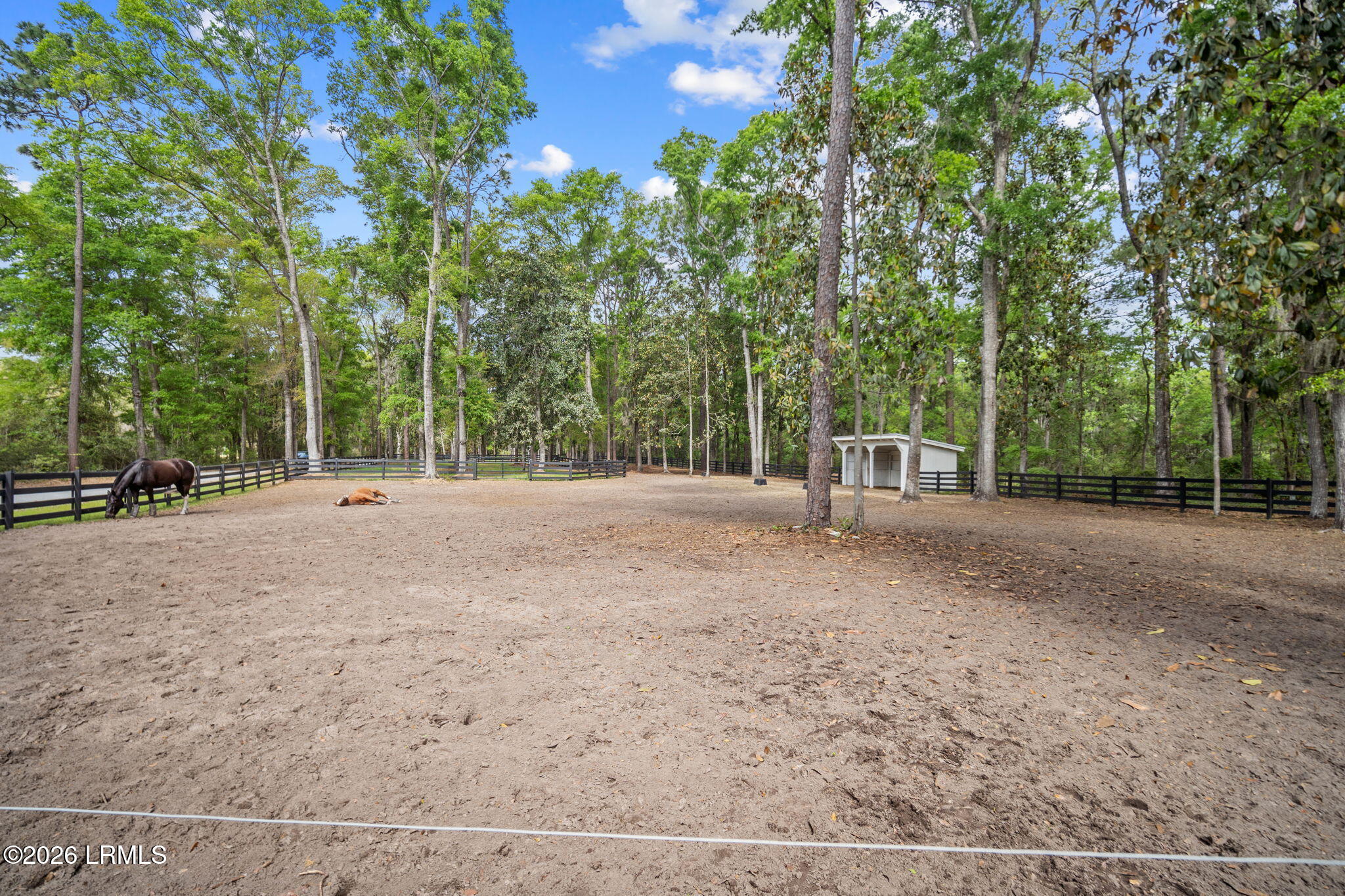 540 Sams Point Road Beaufort, SC 29907 - Photo 76 of 83 .Paddocks (8)