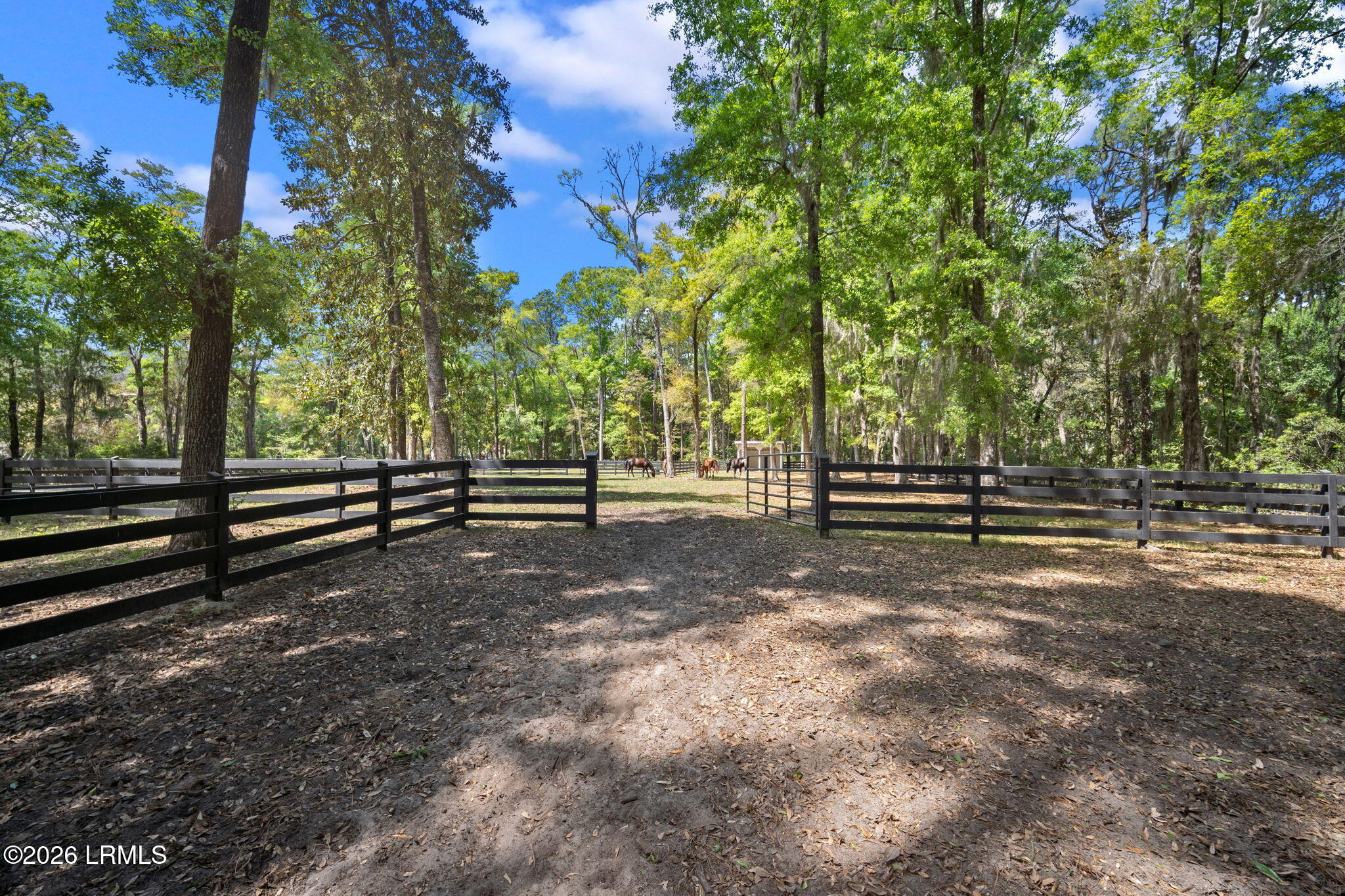 540 Sams Point Road Beaufort, SC 29907 - Photo 77 of 83 .Paddocks