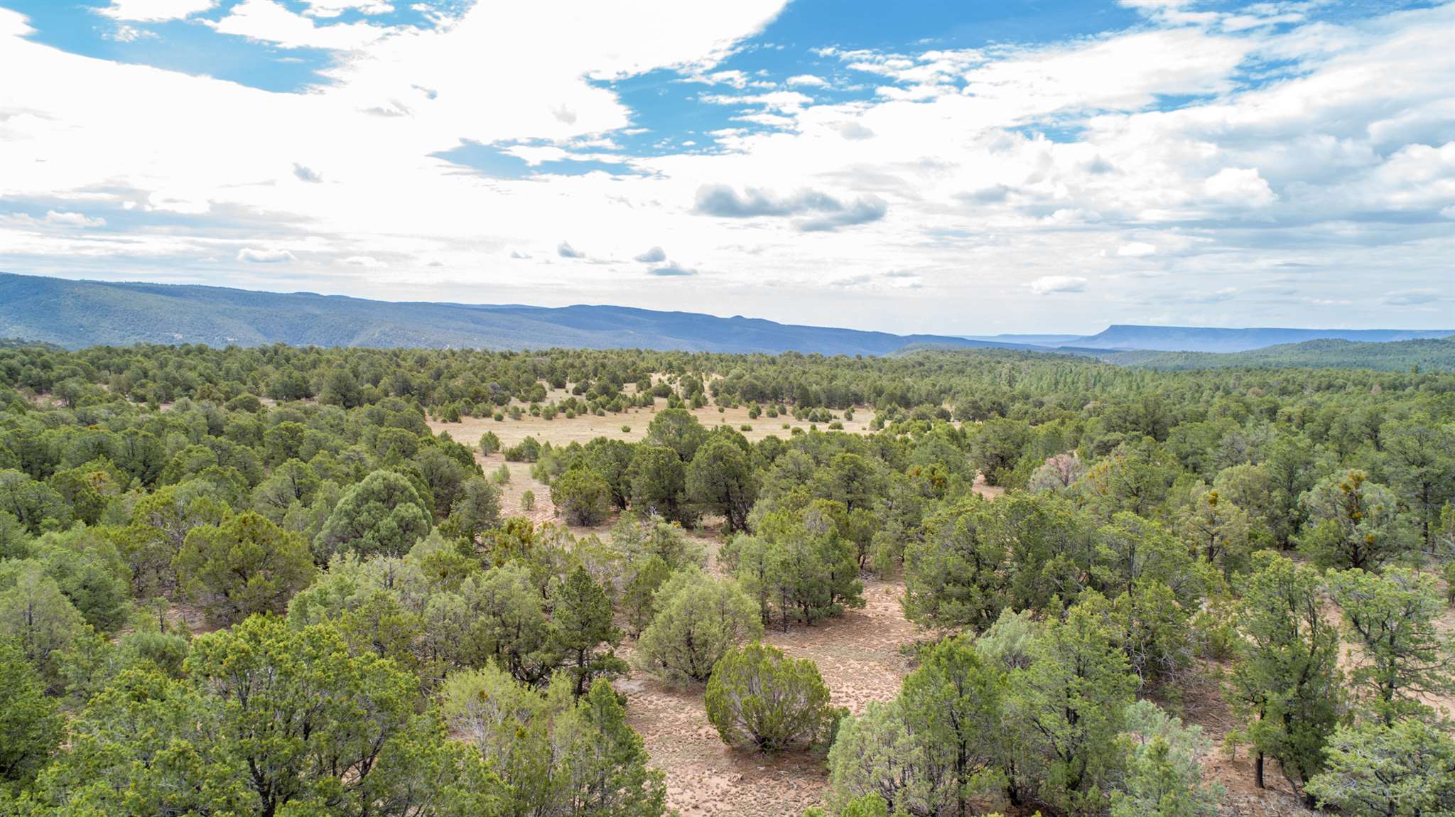 83 Pecos Barillas Road Pecos, NM 87552 - Photo 25 of 54 Gallery Image 25