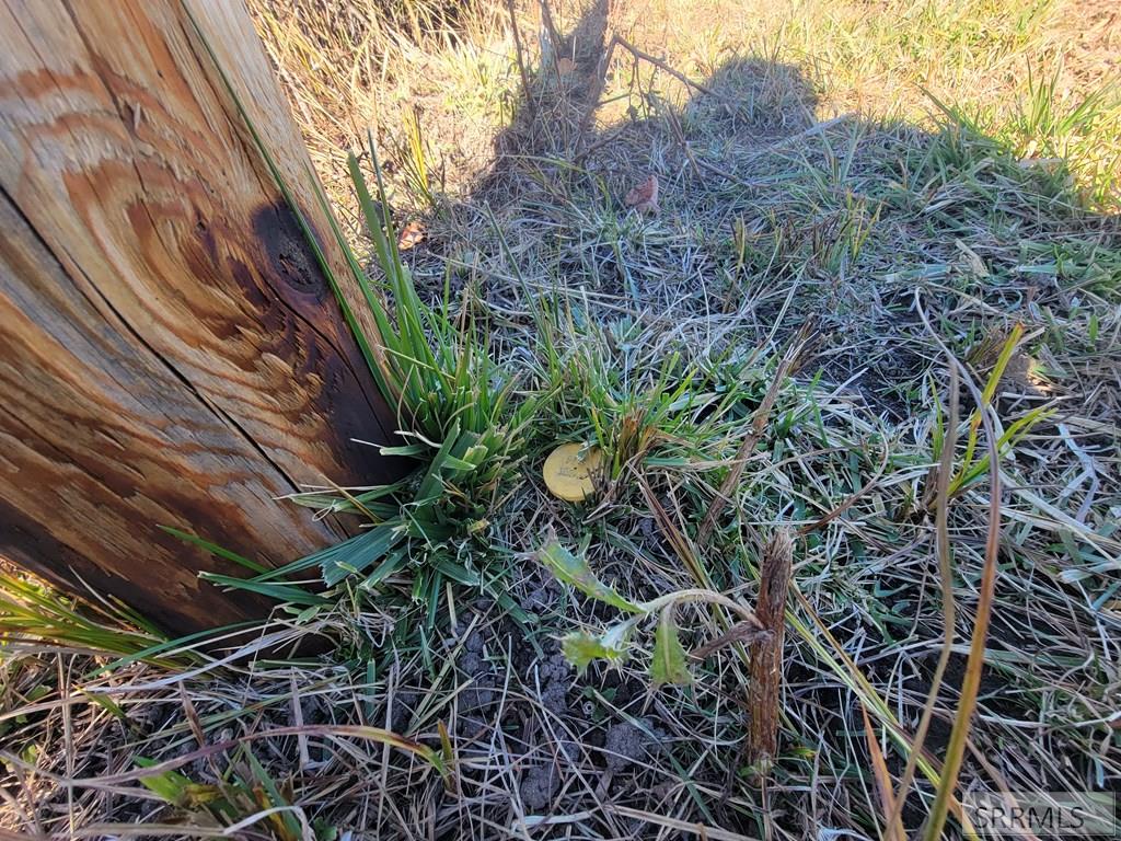 Lot 19 Golden Leaf Lane Salmon, ID 83467 - Photo 8 of 8