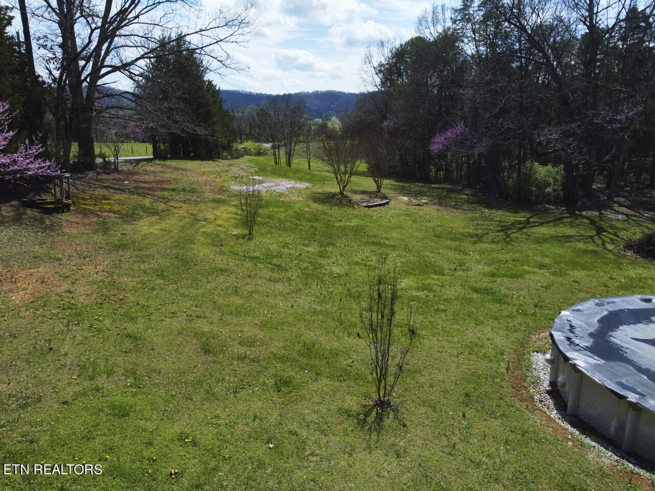 1077 Whitaker Road New Market, TN 37820 - Photo 44 of 46