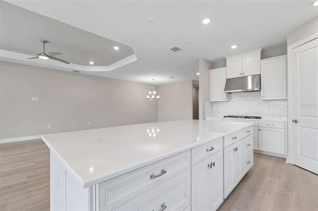 4292 Graticola Road Wesley Chapel, FL 33543 - Photo 12 of 100