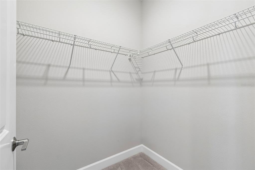 4292 Graticola Road Wesley Chapel, FL 33543 - Photo 36 of 100