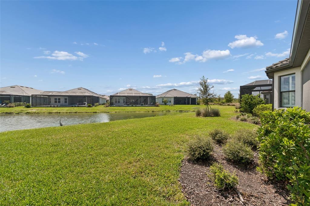 4292 Graticola Road Wesley Chapel, FL 33543 - Photo 53 of 100