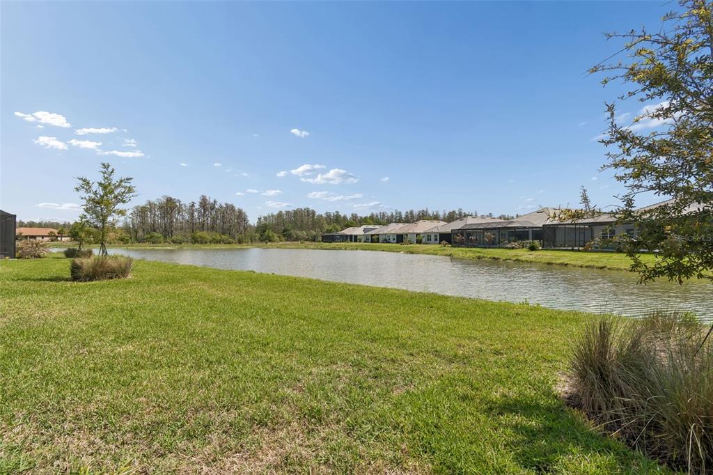 4292 Graticola Road Wesley Chapel, FL 33543 - Photo 57 of 100