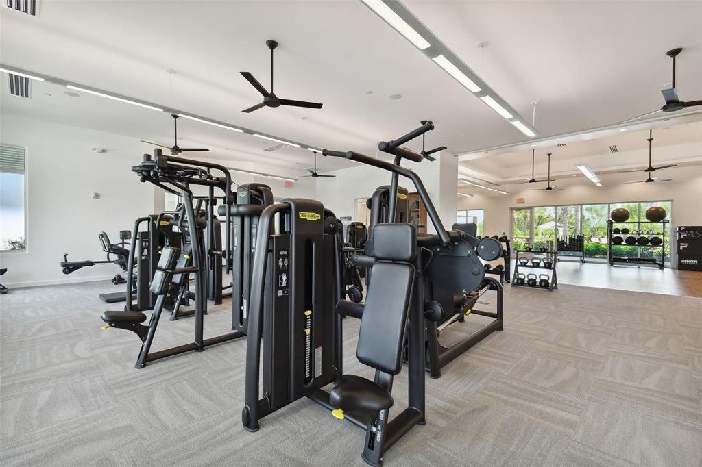 4292 Graticola Road Wesley Chapel, FL 33543 - Photo 88 of 100