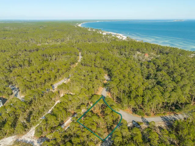 $70,000 | 173 Lighting Bug Lane, Sopchoppy, FL 32358