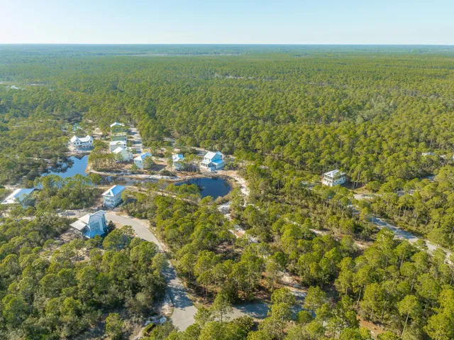 $70,000 | 173 Lighting Bug Lane, Sopchoppy, FL 32358